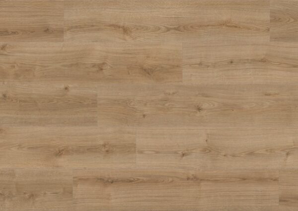 Oak Evoke Trend