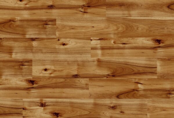 Hickory Bravo